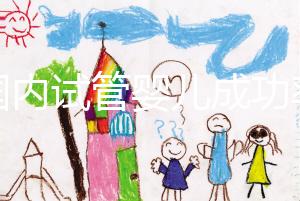 “國(guó)內(nèi)試管嬰兒成功率不比國(guó)外差” 對(duì)話輔助生殖專家：胚胎培養(yǎng)是概率提升關(guān)鍵