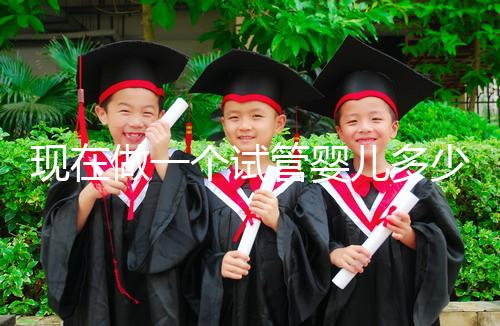 現(xiàn)在做一個(gè)試管嬰兒多少錢（現(xiàn)在做一個(gè)試管嬰兒多少錢啊）