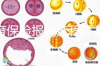 生育保險報銷流程不復雜，辦理地點不分地域異地可報銷