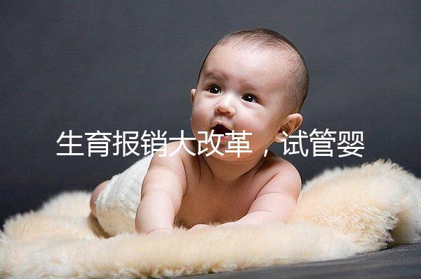 生育報銷大改革，試管嬰兒等輔助生殖費用能納入醫(yī)保嗎