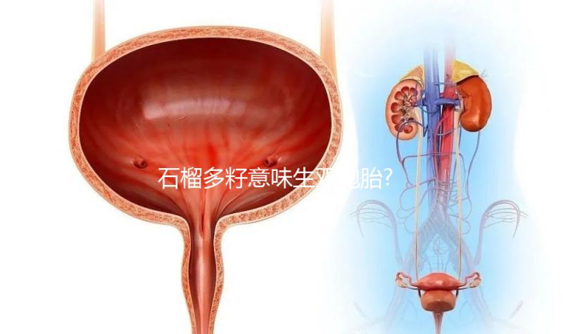 石榴多籽意味生雙胞胎?盤點孕婦夢見石榴的意思