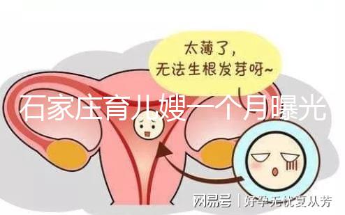 石家莊育兒嫂一個月曝光多少錢？馬寶:公司級別越高越貴