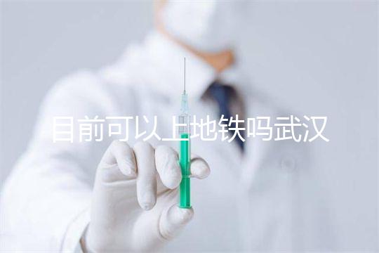 目前可以上地鐵嗎武漢