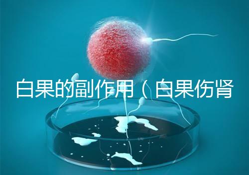 白果的副作用(白果傷腎還是補腎)