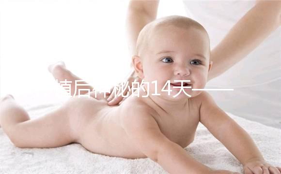 移植后神秘的14天——你的胚胎都發生了哪些變化？