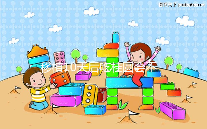 移植10天后吃桂圓會不會不著床分人，過量食用或有影響