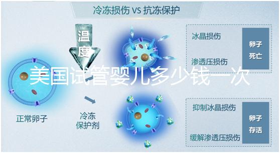 美國試管嬰兒多少錢一次？2025費用清單與避坑指南！