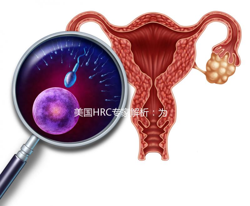 美國(guó)HRC專家解析：為何用第二代試管嬰兒技術(shù)結(jié)合精卵？–美國(guó)HRC