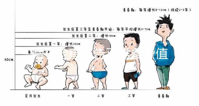 精子檢查報告正常參考值圖例分析，關注這3項指標就夠了