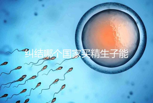 糾結哪個國家買精生子能看照片快收藏！血型、身高可了解