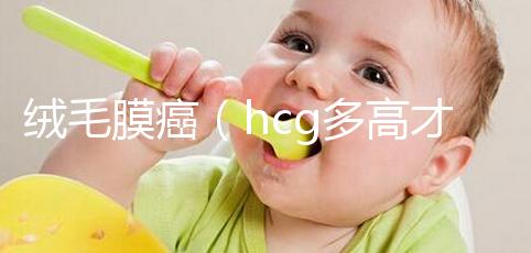 絨毛膜癌(hcg多高才考慮是絨癌)