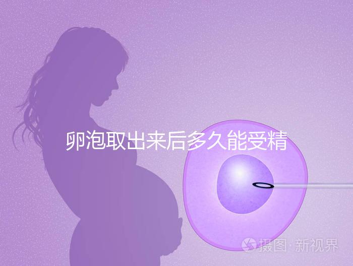 卵泡取出來后多久能受精做試管來瞧，想移植請(qǐng)算好時(shí)間