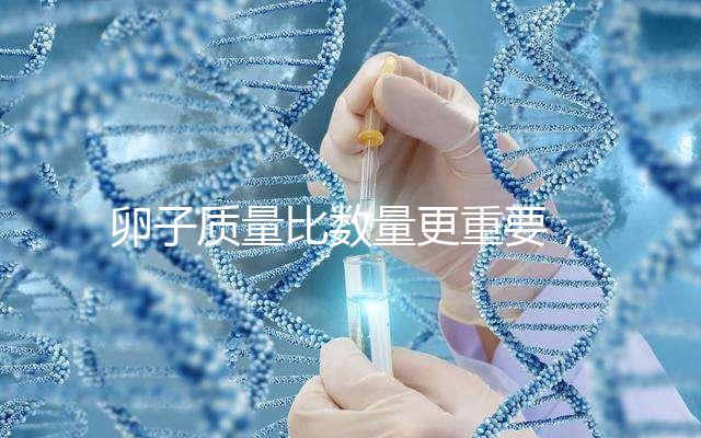 卵子質量比數量更重要，9個卵泡生男孩也很難