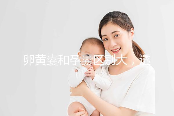 卵黃囊和孕囊區別大，透過B超首次為你揭露其形狀