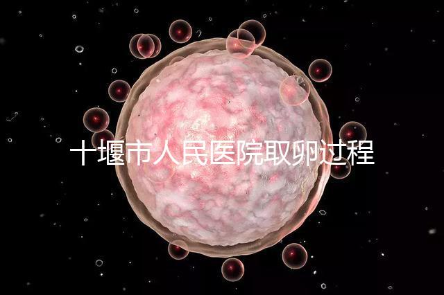 十堰市人民醫院取卵過程詳解，三種情況可全身麻醉