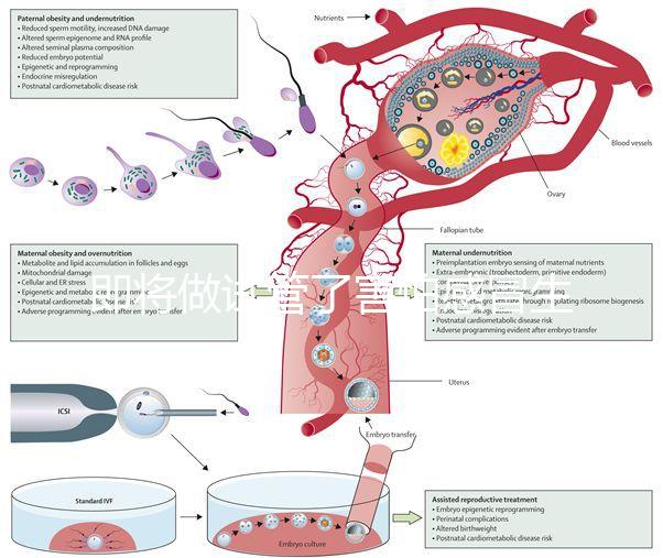 即將做試管了害怕感冒生病，這5招教你提高免疫力