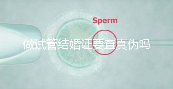 做試管結(jié)婚證要查真?zhèn)螁幔ㄗ鲈嚬芙Y(jié)婚證要查真?zhèn)螁岫嗌馘X)
