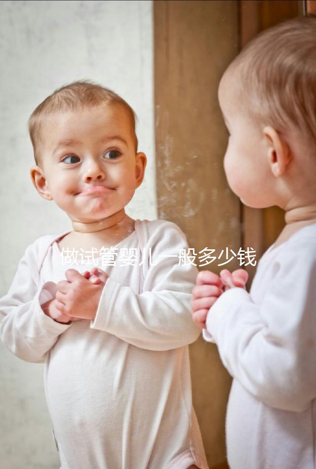 做試管嬰兒一般多少錢