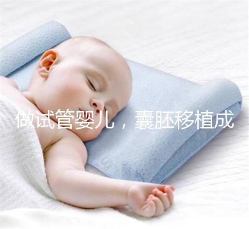 做試管嬰兒，囊胚移植成功懷孕的幾率更高？