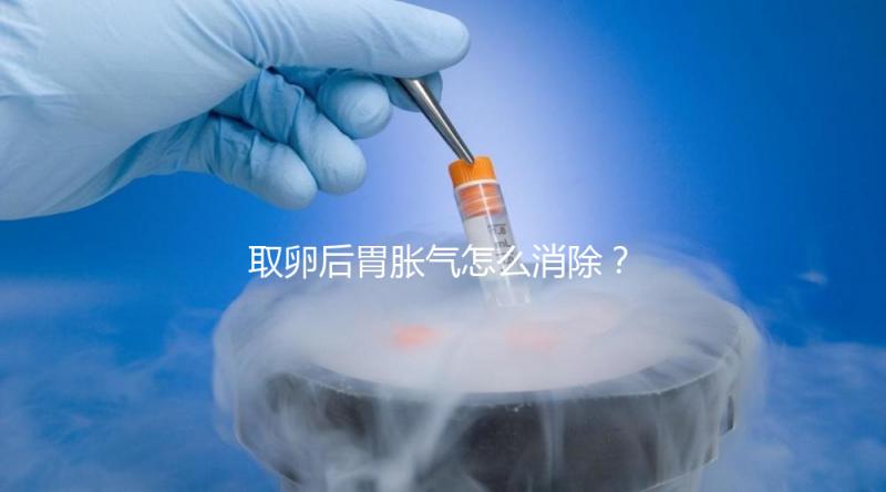 取卵后胃脹氣怎么消除？促進腸蠕動是唯一解決手段