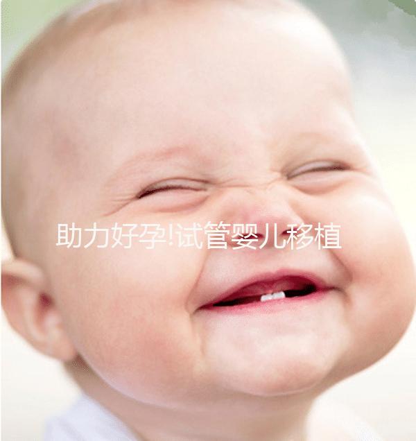 助力好孕!試管嬰兒移植囊胚4個(gè)成功小經(jīng)驗(yàn)分享