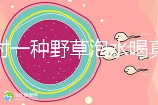 農(nóng)村一種野草泡水喝真能治便秘!配合這九種中草藥效果更好