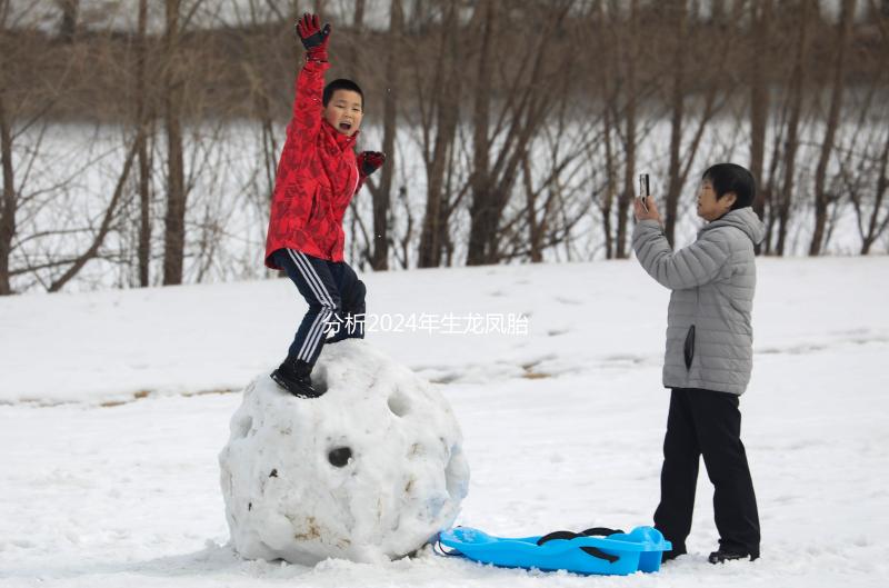 分析2024年生龍鳳胎女性的面部特征，結(jié)合手掌準(zhǔn)確率超過一半