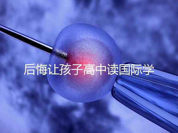 后悔讓孩子高中讀國際學校4大理由，行動前學籍咋辦要弄清