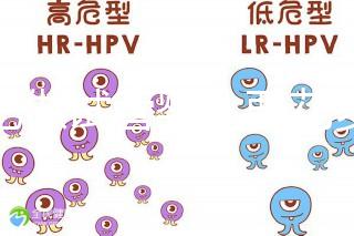 合肥做試管嬰兒要花多少錢?進(jìn)周期前這些注意事項(xiàng)都來(lái)看看
