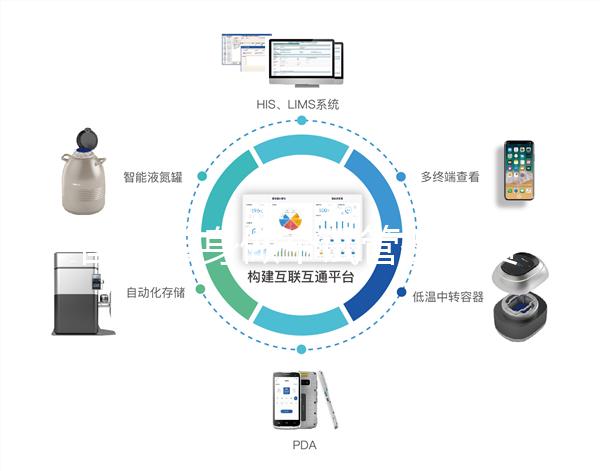 國內單身做個試管嬰兒費用大概要多少？
