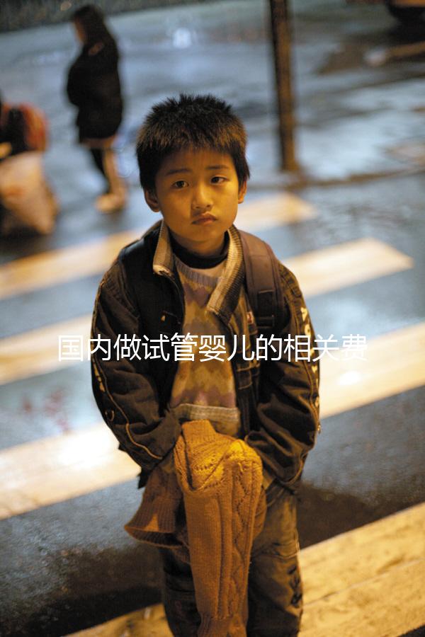 國內做試管嬰兒的相關費用、條件、指征