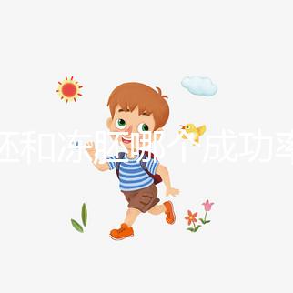 囊胚和凍胚哪個成功率高？試管移植選擇策略解析