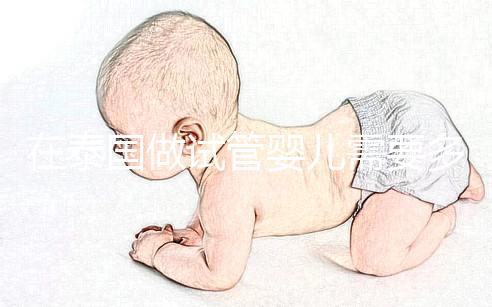 在泰國(guó)做試管嬰兒需要多長(zhǎng)時(shí)間？這些步驟缺一不可？