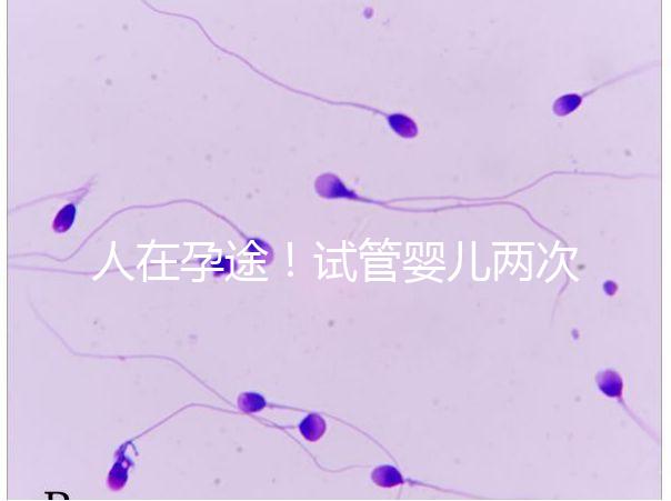 人在孕途！試管嬰兒兩次胎停育,了解這幾招能降低流產(chǎn)風險