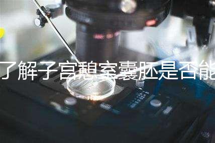 了解子宮憩室囊胚是否能成功移植，這里是否有出血