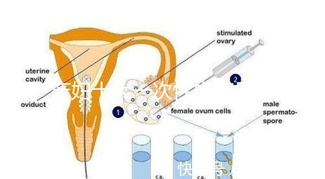 產婦十大一次性內褲品牌排行揭曉，全棉時代質量如何看這