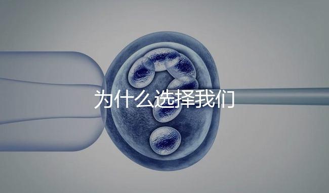 為什么選擇我們