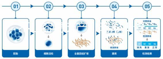 不止容易流產、畸形！告訴你為什么絕經以后不能生孩子