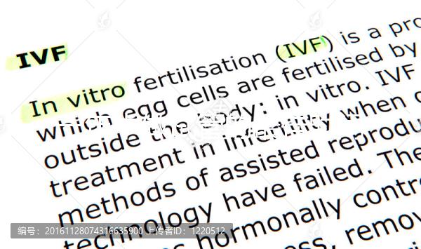 一年中做試管的最佳時間(一年中做試管的最佳時間,季節的選擇是首要規則)