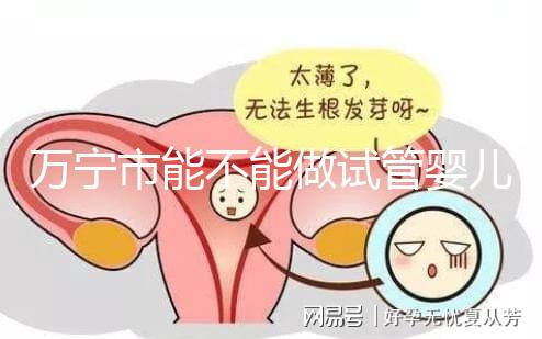 萬寧市能不能做試管嬰兒？姐妹們都去哪里做試管？