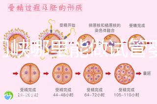 三門峽哪里能做試管嬰兒?從經歷談成功率和費用