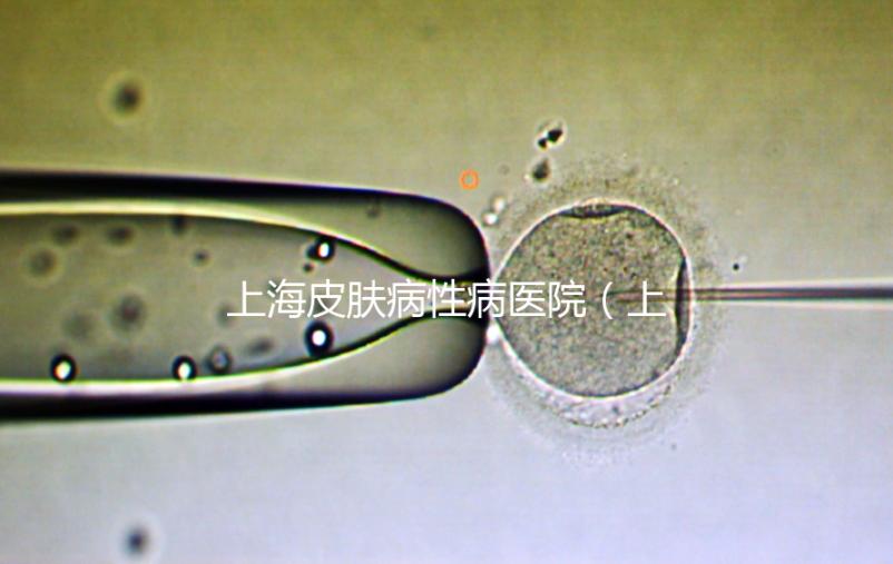 上海皮膚病性病醫(yī)院（上海梅毒醫(yī)院排名第一）