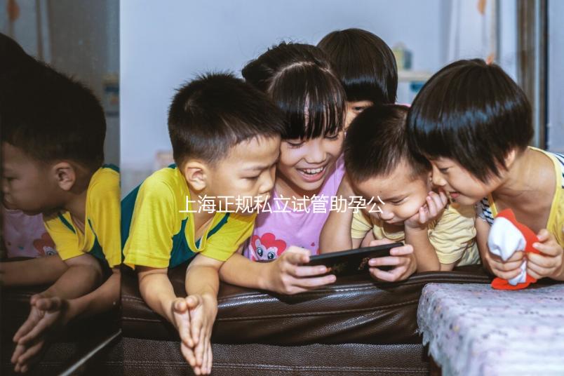 上海正規(guī)私立試管助孕公司名單分享，這幾家看放心選擇