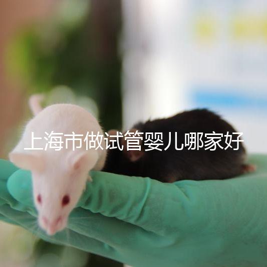 上海市做試管嬰兒哪家好？2025年權威醫院排名與成功率詳細對比