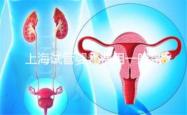 上海試管嬰兒費用一般是多少？2025年費用明細全解析、各技術(shù)方案價格對比與科學省錢全指南