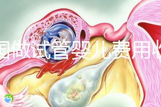中國(guó)做試管嬰兒費(fèi)用收費(fèi)價(jià)目表一覽，包含具體成本預(yù)算