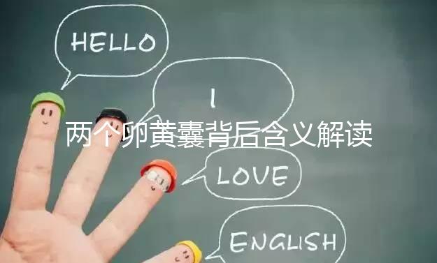 兩個卵黃囊背后含義解讀：雙胞胎、龍鳳胎都有可能！