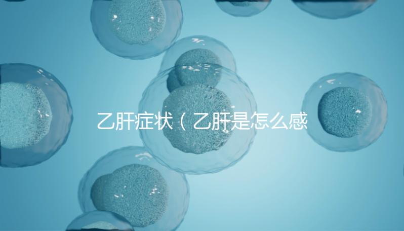 乙肝癥狀(乙肝是怎么感染上的)