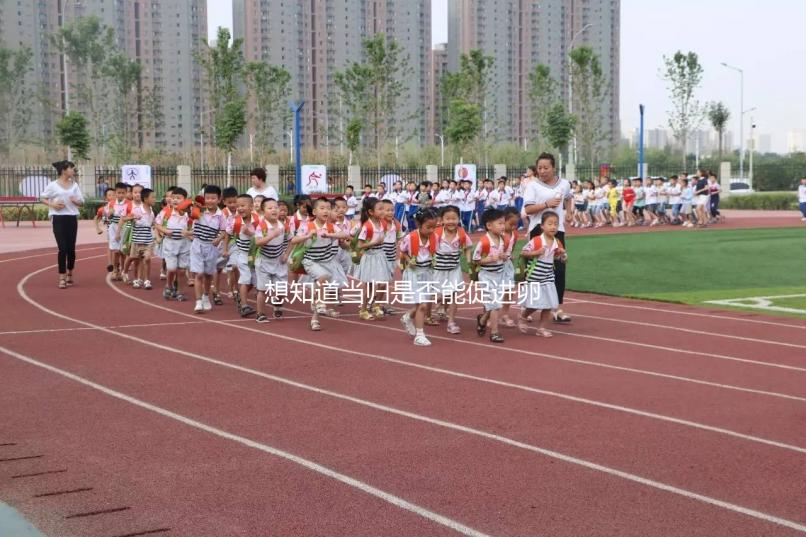 想知道當(dāng)歸是否能促進(jìn)卵泡發(fā)育，加入棗也能補(bǔ)充內(nèi)膜