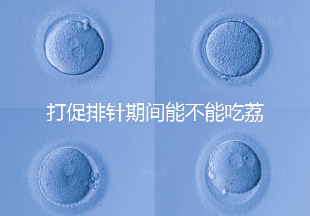 打促排針期間能不能吃荔枝看月份,想促進卵泡發(fā)育別亂食用